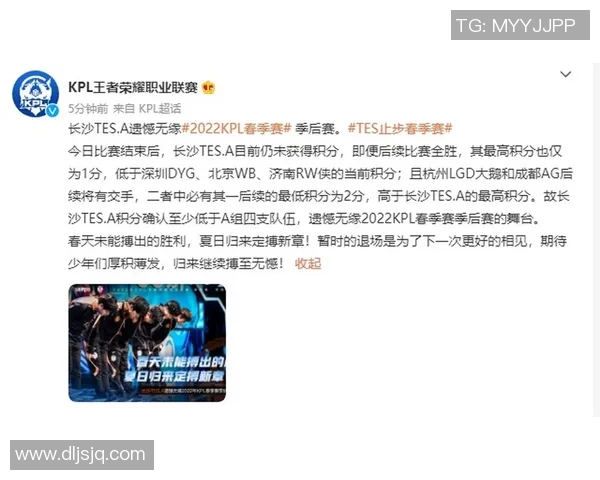 王者荣耀战术解析：TES团队协作与整体压制体系的深度剖析